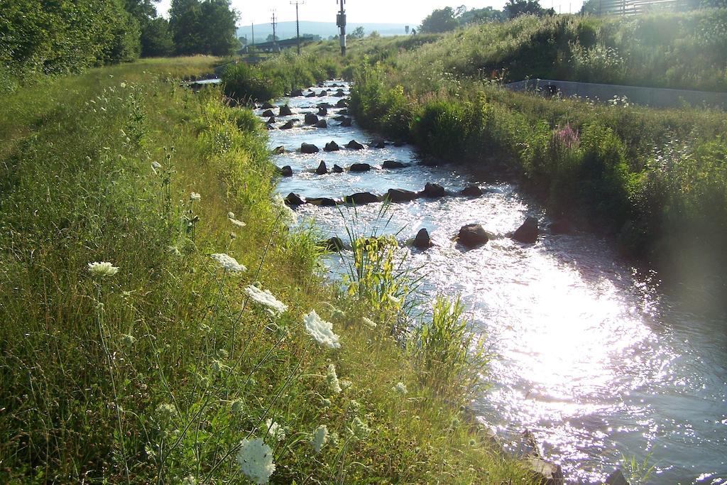 Penzion U Dyje Bulhary Bagian luar foto